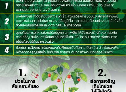 ประโยชน์ของกรดอะมิโน