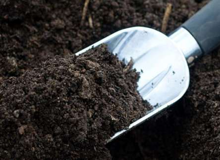 ปัญหาดินมีหลายชนิด